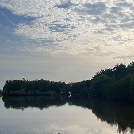 Mangrove Inn カリムンジャワ エクステリア 写真