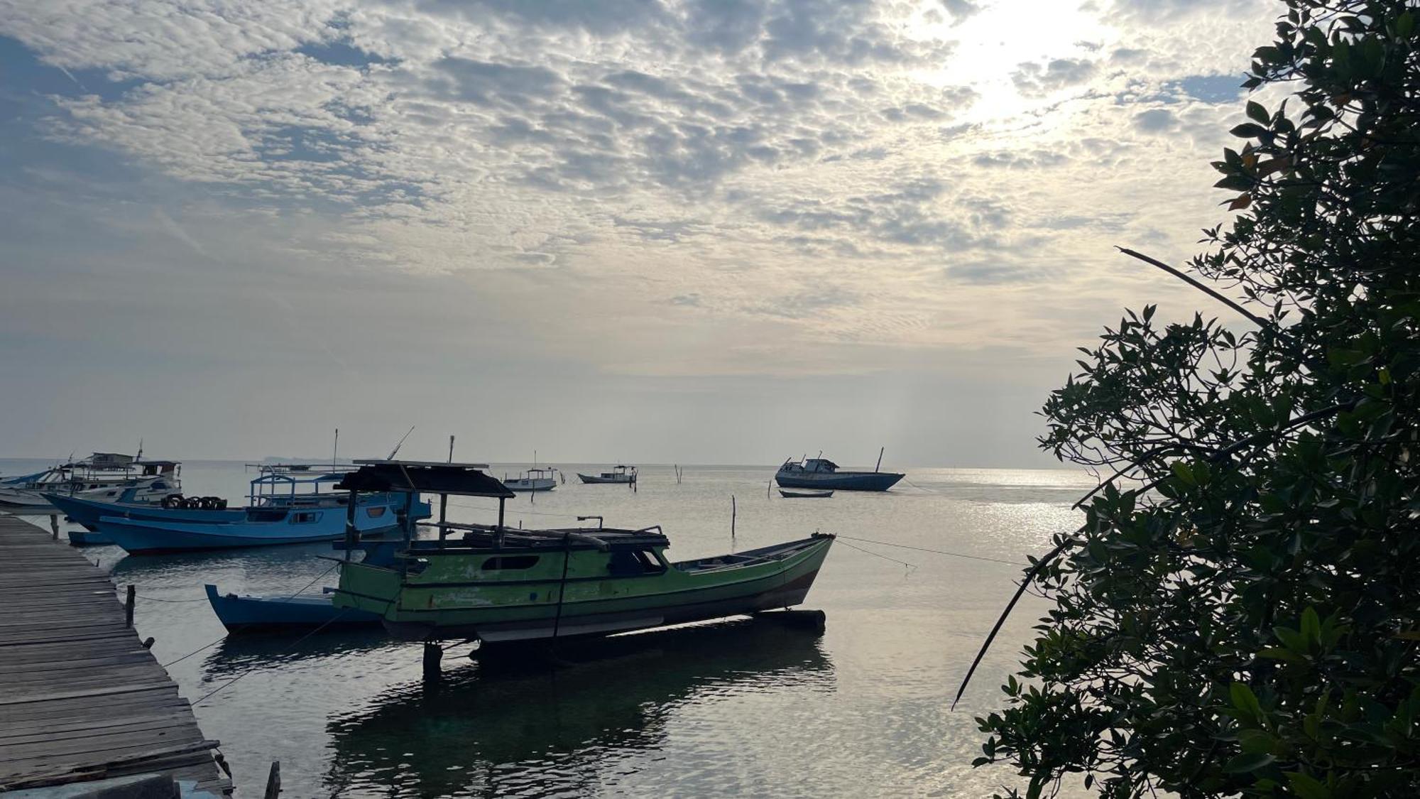 Mangrove Inn カリムンジャワ エクステリア 写真