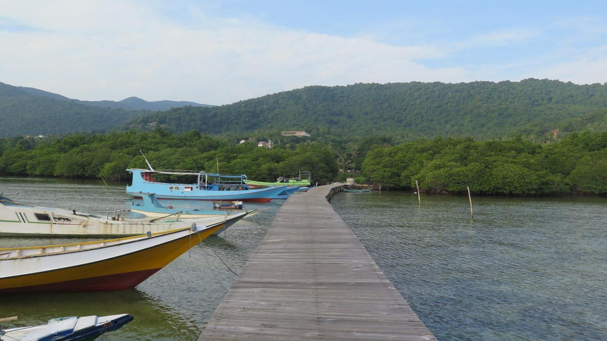 Mangrove Inn カリムンジャワ エクステリア 写真