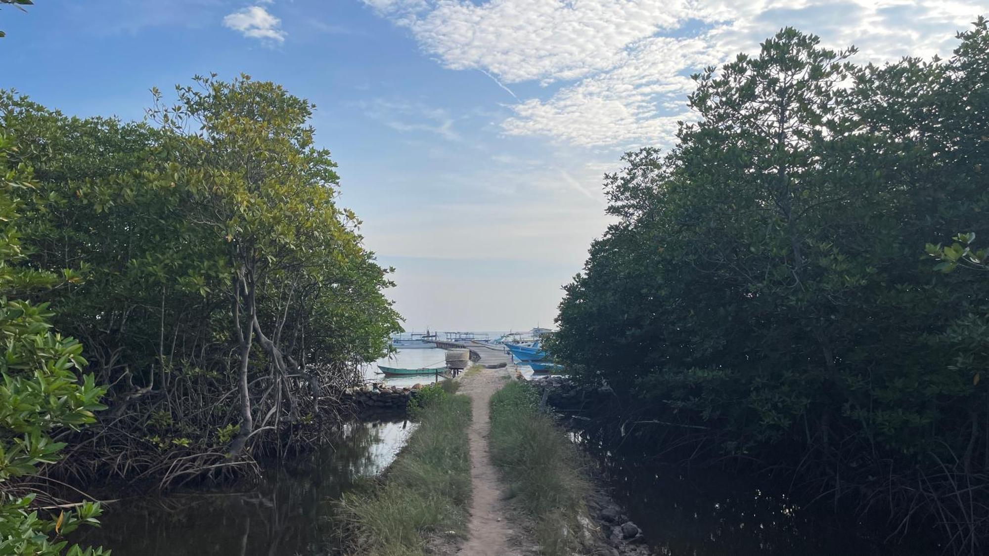 Mangrove Inn カリムンジャワ エクステリア 写真