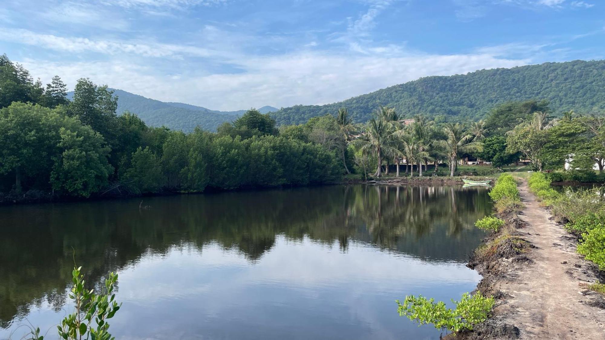 Mangrove Inn カリムンジャワ エクステリア 写真