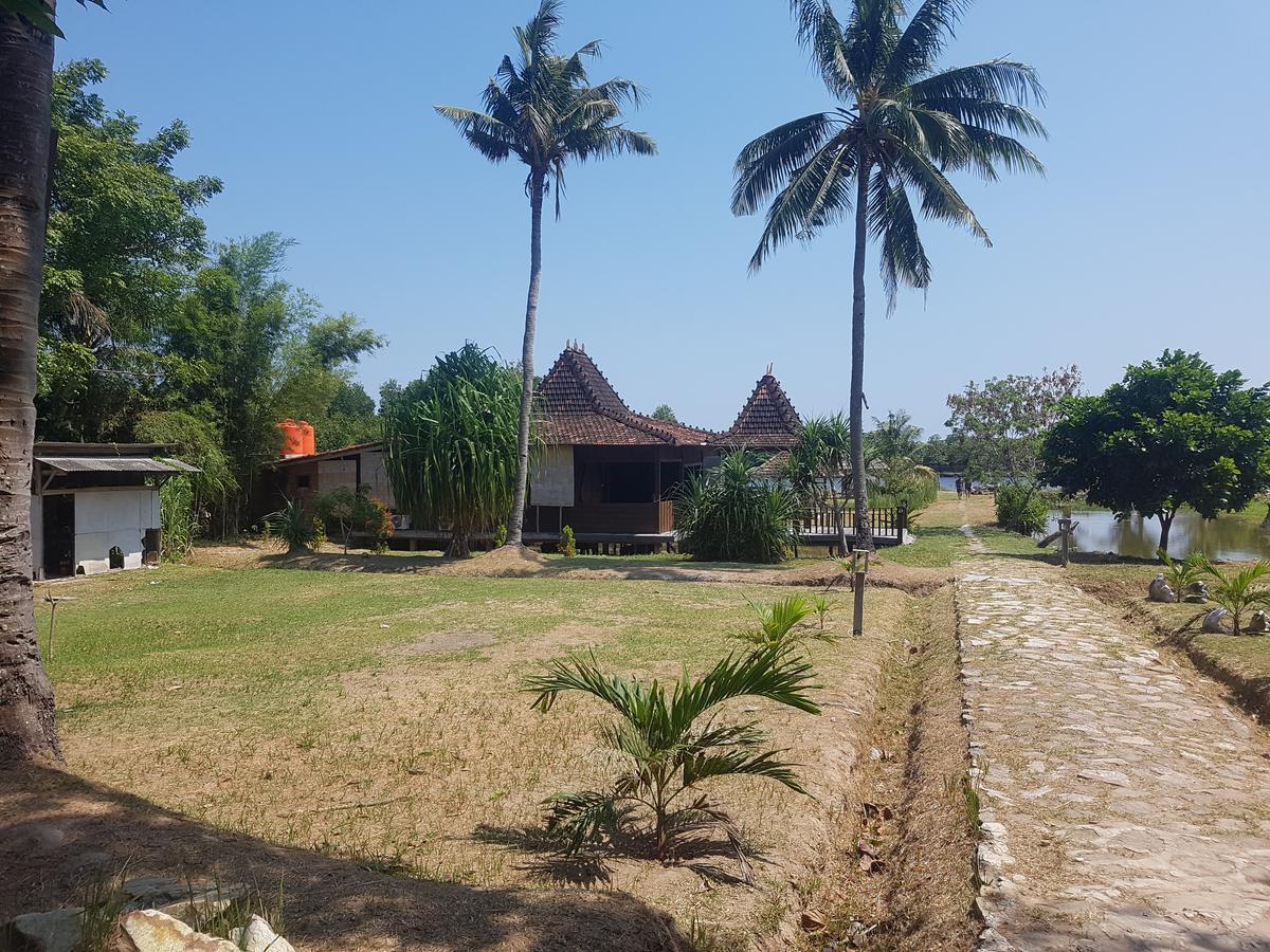 Mangrove Inn カリムンジャワ エクステリア 写真