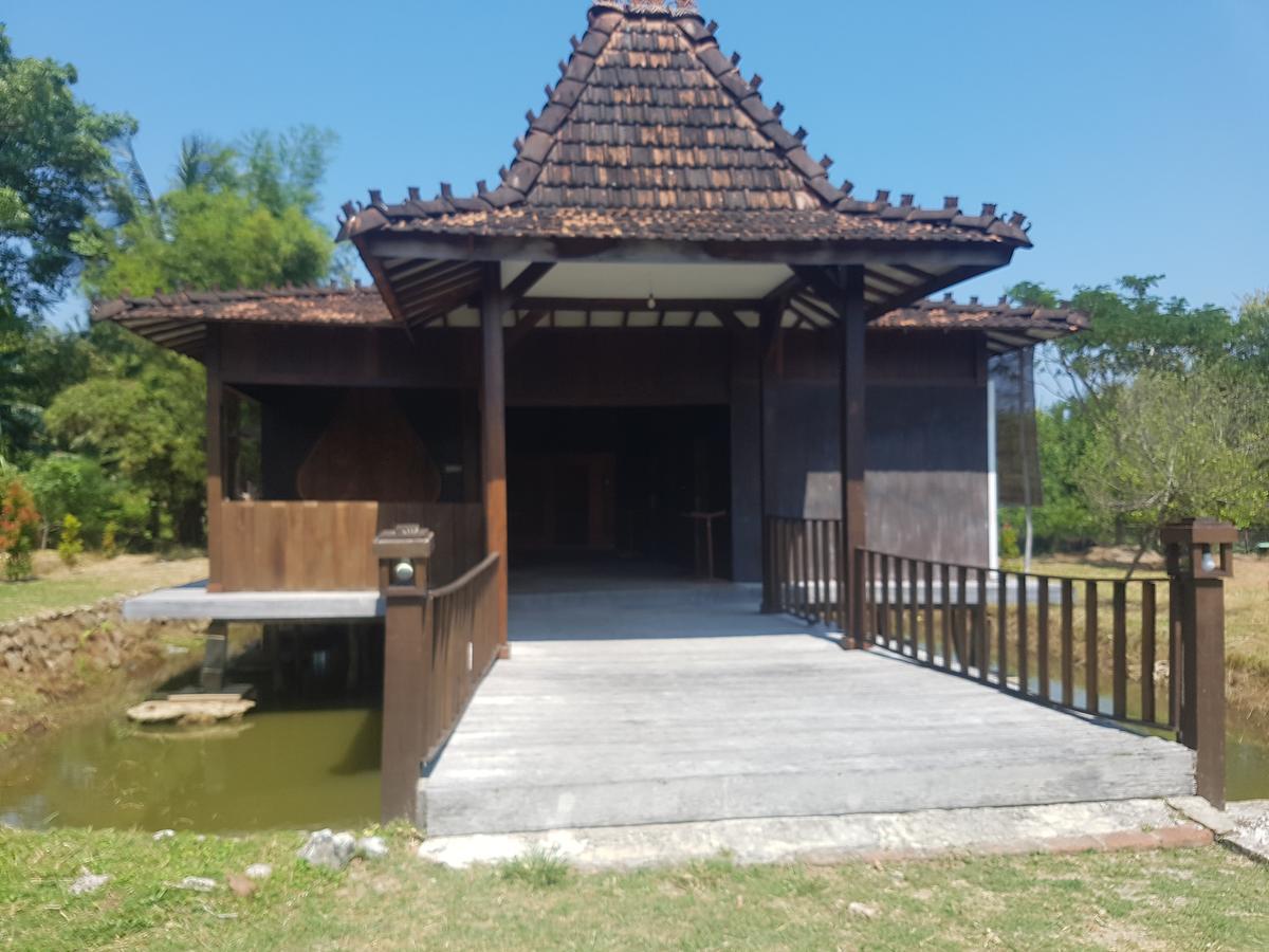 Mangrove Inn カリムンジャワ エクステリア 写真