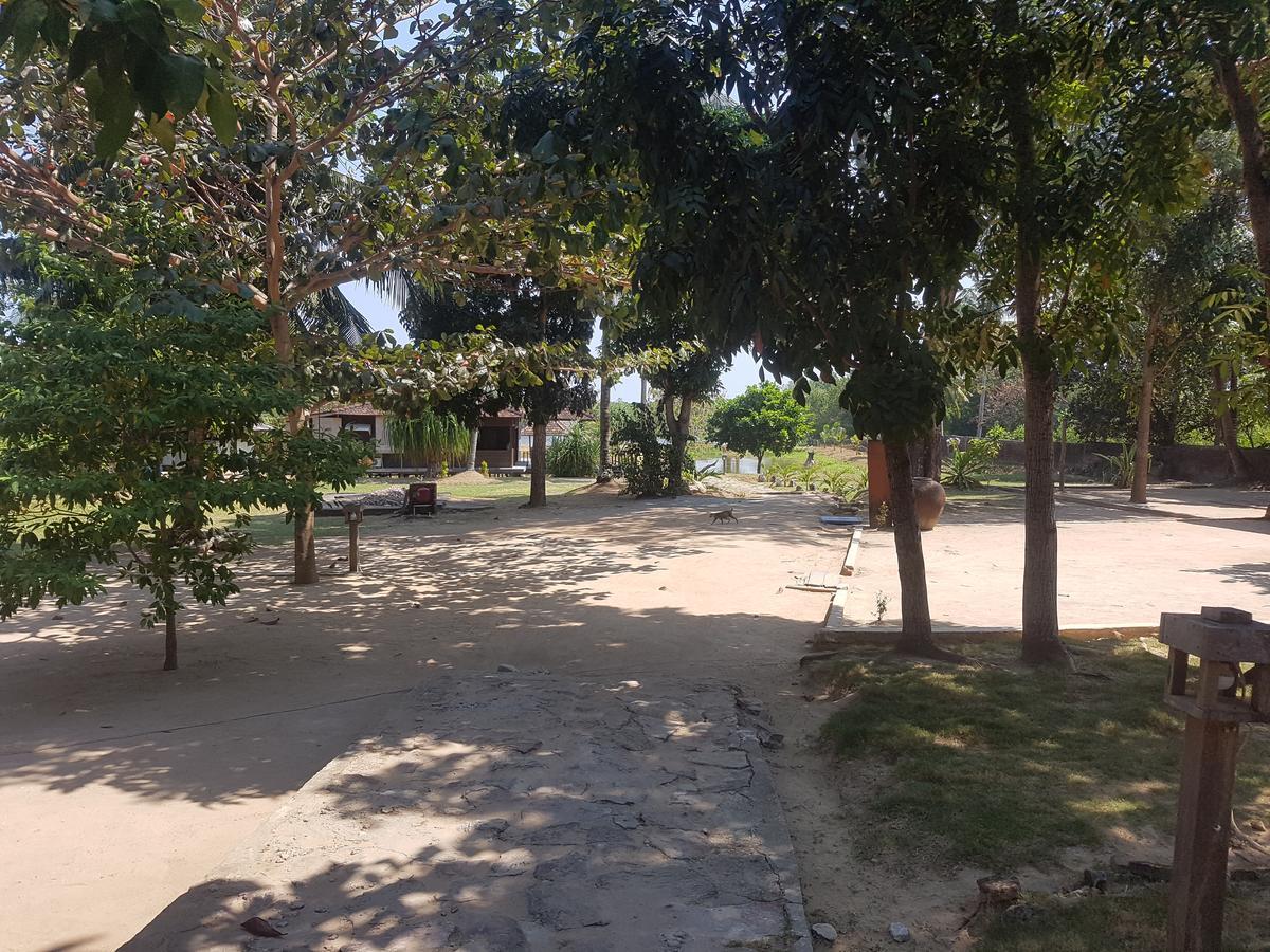 Mangrove Inn カリムンジャワ エクステリア 写真