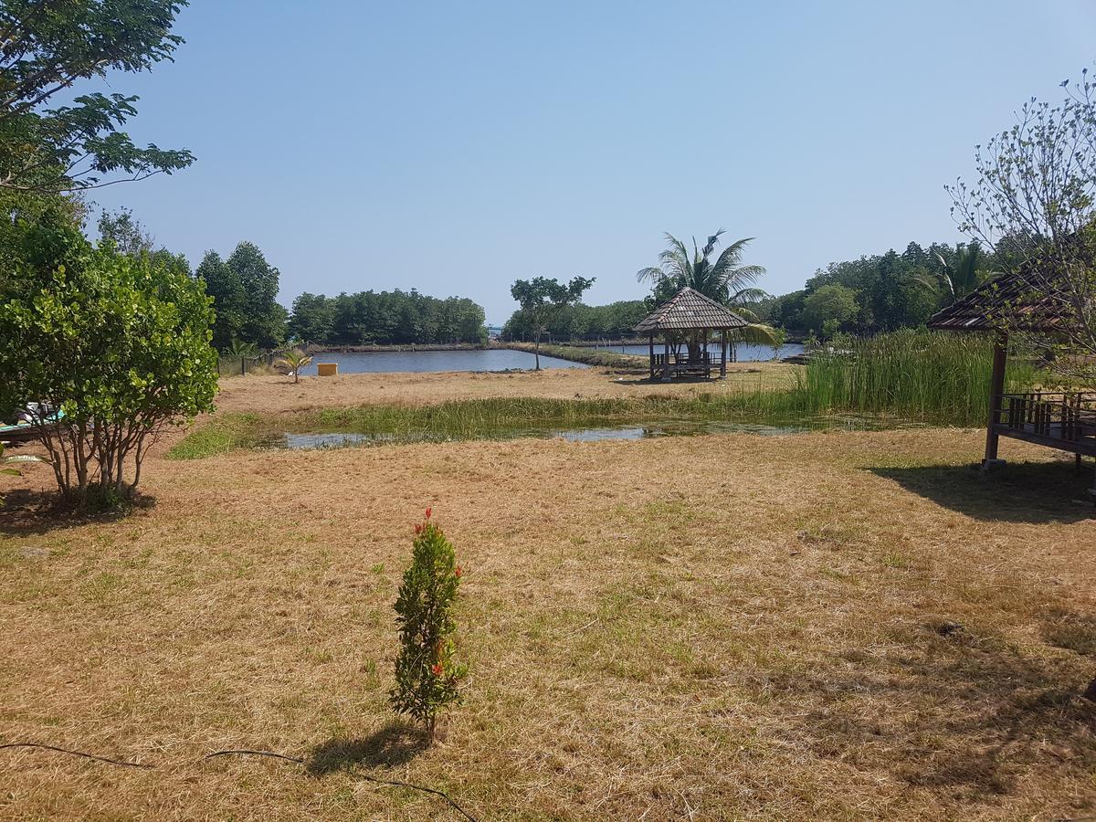 Mangrove Inn カリムンジャワ エクステリア 写真