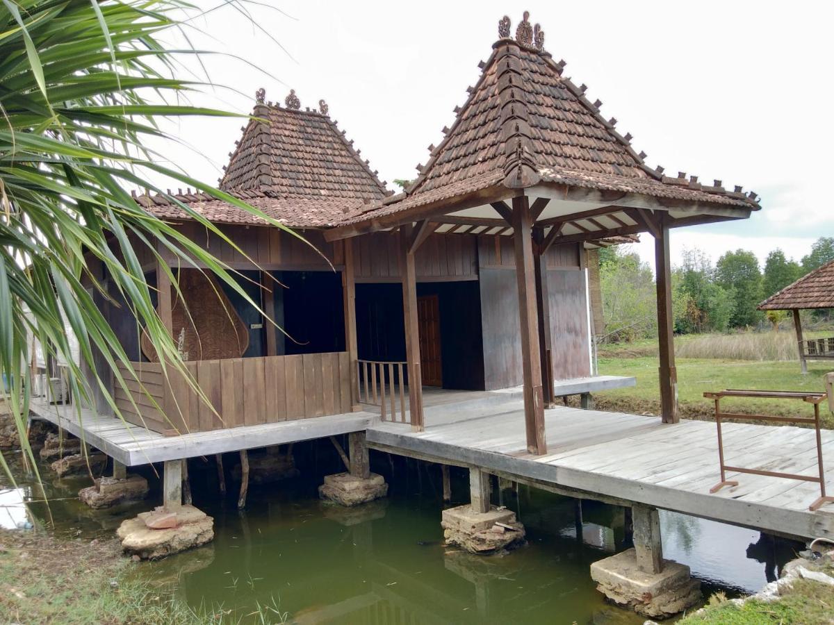Mangrove Inn カリムンジャワ エクステリア 写真